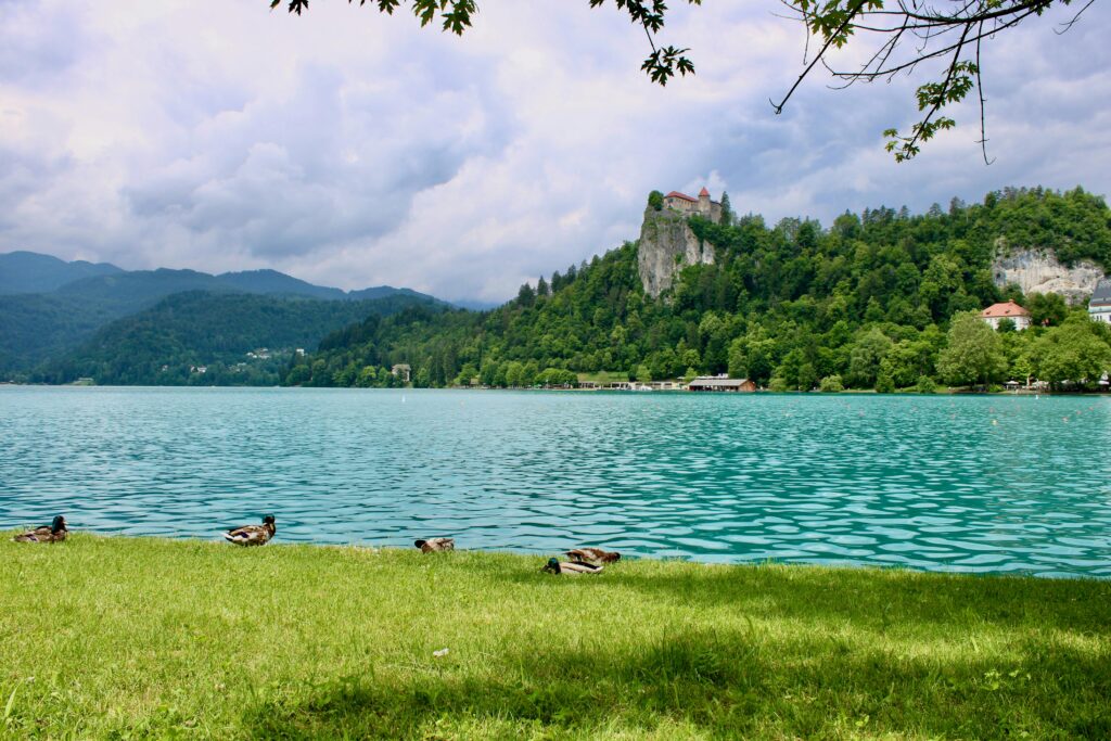 The Serene Lakes of France: Nature’s Tranquil Gems